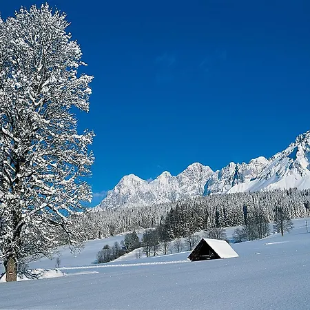 فندق Matschner 4*