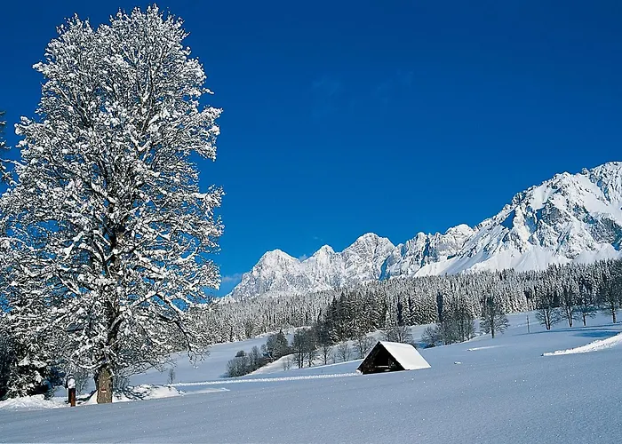 فندق Matschner 4*