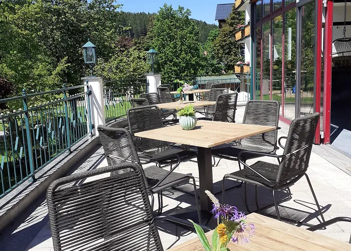 فندق Matschner رامساو أم داتشستين